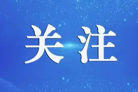 免费！这项手机业务已开通图片