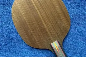 直拍底板哪家强？奥运冠军刘国梁、马琳、王皓、许昕等直板推荐!图片