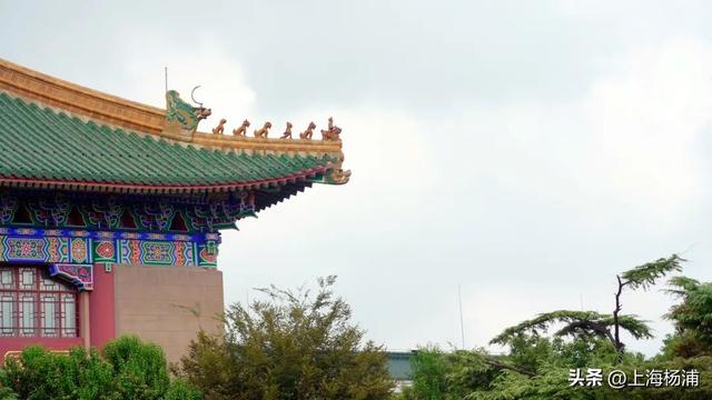终于！杨浦最美的秋天来了……交出你的秋叶美照，惊喜好礼相送