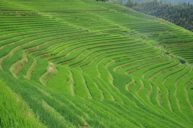 游桂林山水