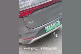 反转了！318川藏线孕妇插队后续，孕妇身份被扒，男子被拘赔偿1万图片