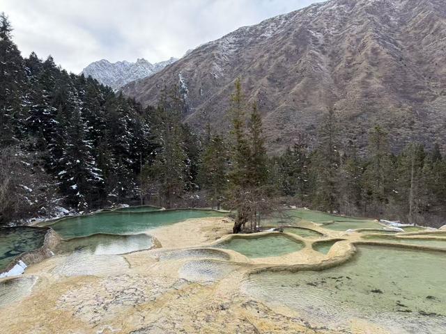 一泡尿“毁”了全家!男童尿进黄龙彩池，景区硬气通报:永久禁入