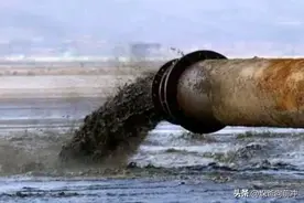 检测核污水无异常！日本海鲜进入中国指日可待，但需要两个条件图片