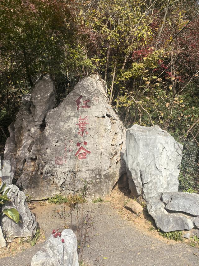 南京栖霞山一日徒步，游千年古刹，看漫山红叶