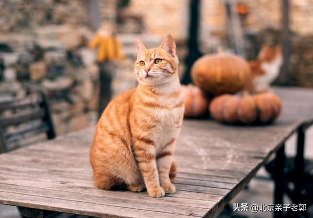 蓟县周末深度游攻略