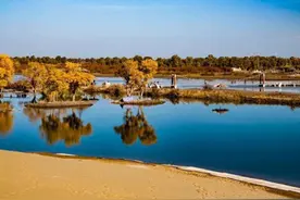 长达30年的断流，中国最长内陆河塔里木河，如何重新“复活”的？图片