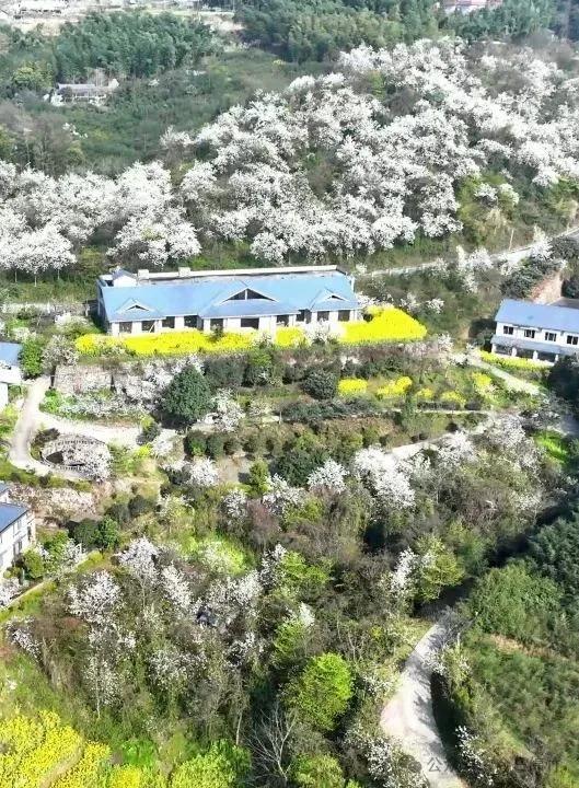 马上凉快了!该去绵竹这个国家4A级旅游景区撒欢了......