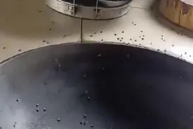 四川汶川村民与苍蝇“同居”苦不堪言图片