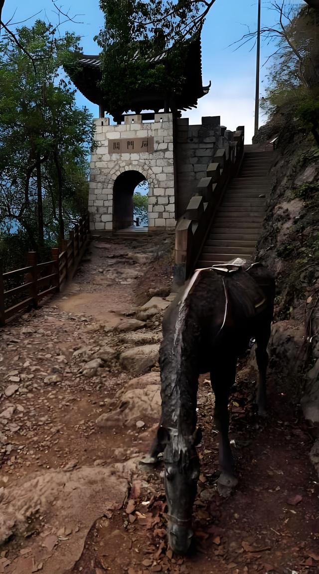 踏迹寻音：前往昭通盐津豆沙关，穿越千年观摩唐摩崖