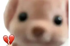 连续7年凌晨3点打电话给我：吃晚饭了没！留子父母抽象行为大赏图片