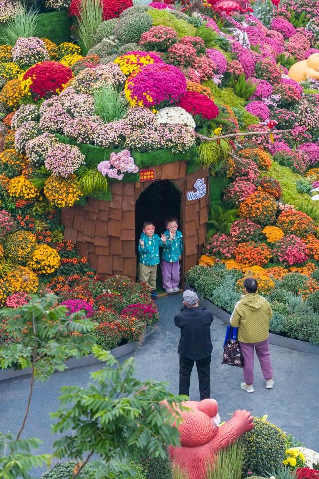 22万人已打卡，还剩2天！