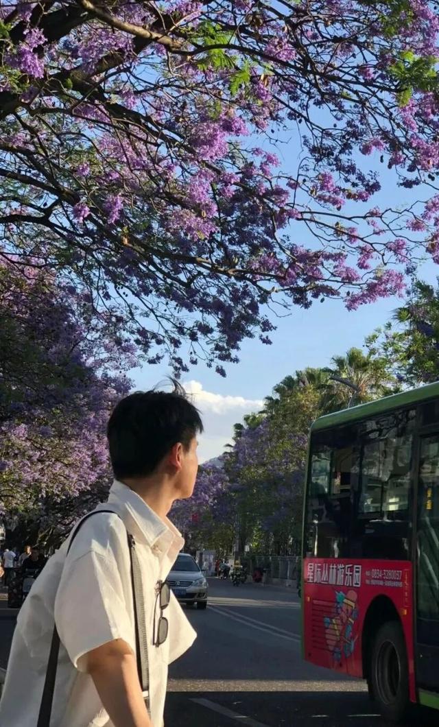 比大理浪漫！比昆明更近！高铁直达阳光小城，2万株蓝花楹美疯！观海登山，美食吃到爽！
