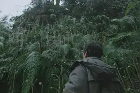 一个深山「原始人」的故事图片