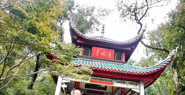 从爱晚亭捡来一枚红叶