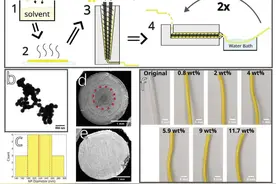 《AFM》：3D打印不透射线复合支架图片