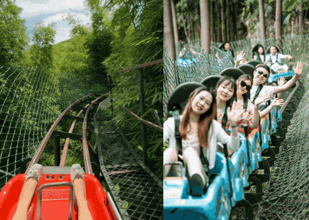 在竹尖上飞行！全网最全尖叫玩法攻略！