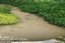 典型案例|黄冈白莲河库区内企业违法排污问题突出图片