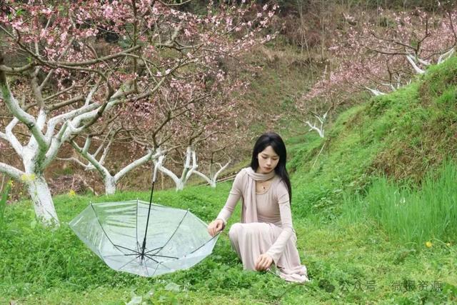 高山桃蕊绽芳华 花海映美苗乡寨——车田苗族乡黄宝村黄桃花绘就生态观赏新景致