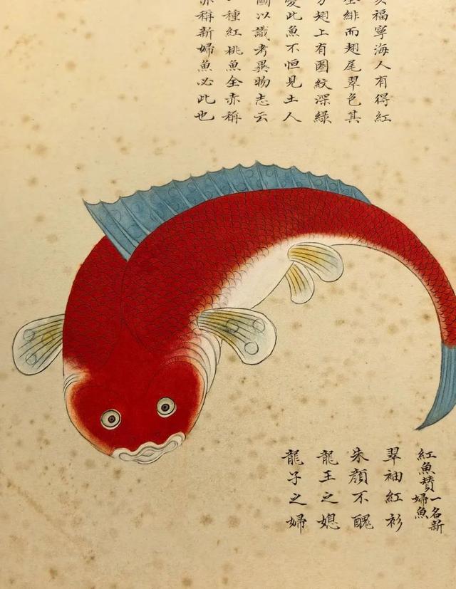 这画，真实又让人脑洞大开！