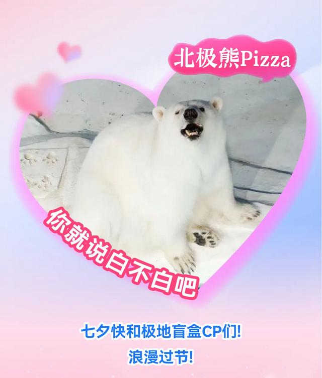 浪漫七夕畅玩极地！超多精彩等你打卡