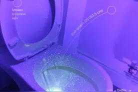 男性到底要不要坐着尿尿？有夫妻甚至为此吵进了民政局……医生这样说图片