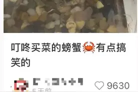 叮咚买来的螃蟹，以为是吃的，却成了饭搭子！很多上海人小辰光捉过图片