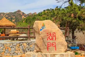 延寿镇湖门村丨银山下守绿换金图片