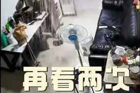 一天两起爆炸！这些东西不能这样放进冰箱！图片