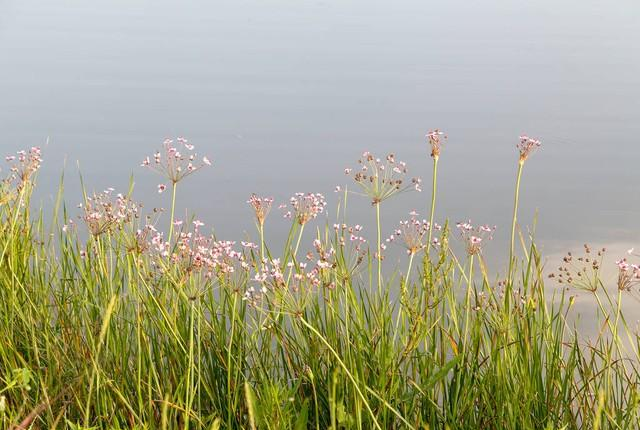 情人走到这一步就是缘分将尽的信号！