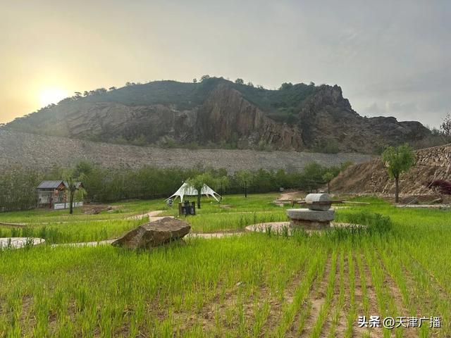 期待 | 古树下品咖啡！天津度假打卡地+1！重磅福利→