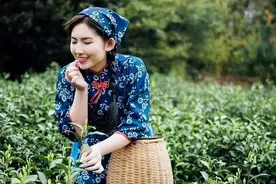 舌尖上的茶多酚：唐诗宋词里的那一抹茶香，美艳了千年时光图片