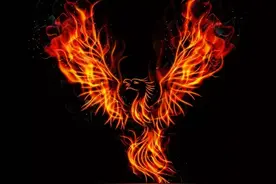 当一个人走投无路了，该怎么办图片