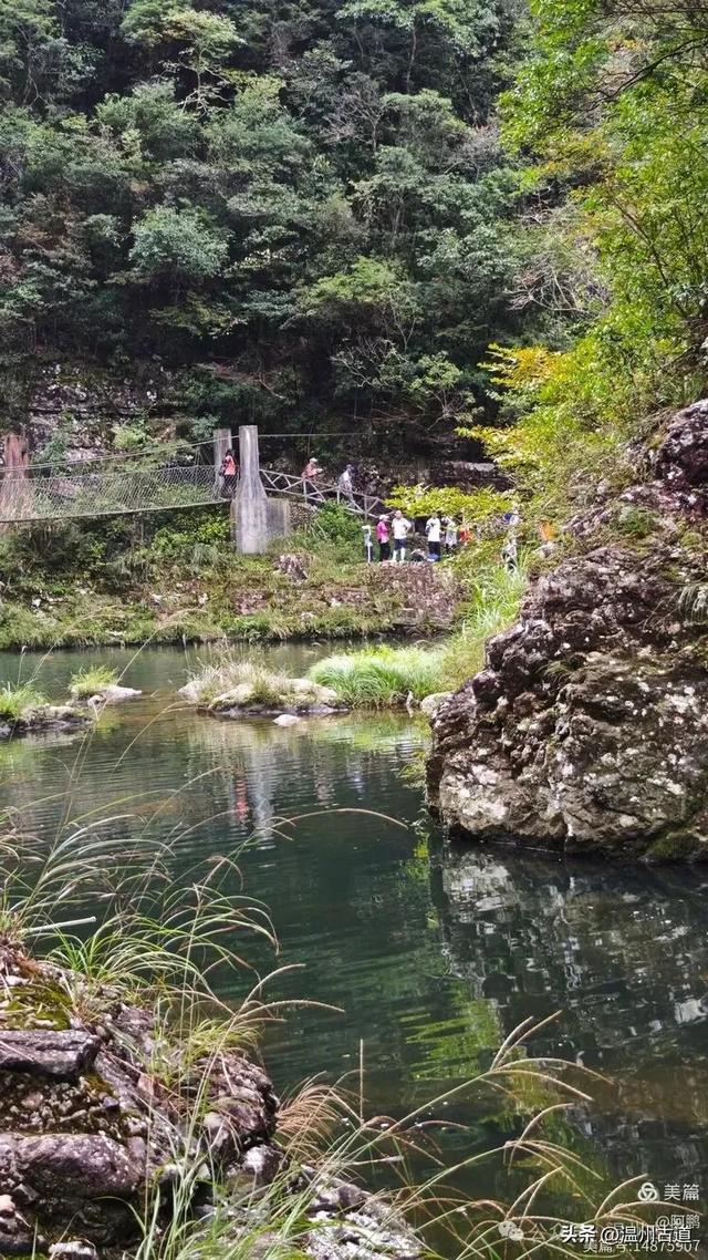隐藏在温州深山幽谷的绿野仙踪，免费开放，知道的人却极少！