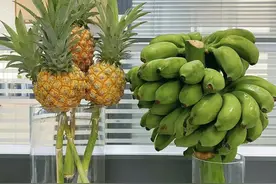 苏州：“禁止蕉绿”“动感光菠”……谐音梗水果卖得俏图片