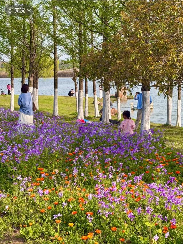 合肥版“赛里木湖”火了!好多人打卡