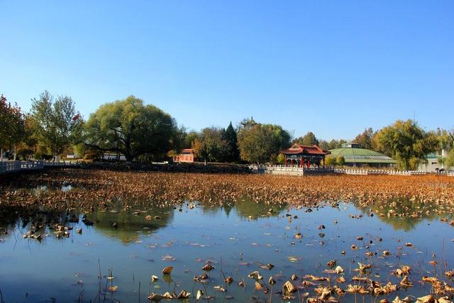 汤岗子秋景入画来