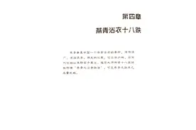 少林燕青沾衣十八跌图片