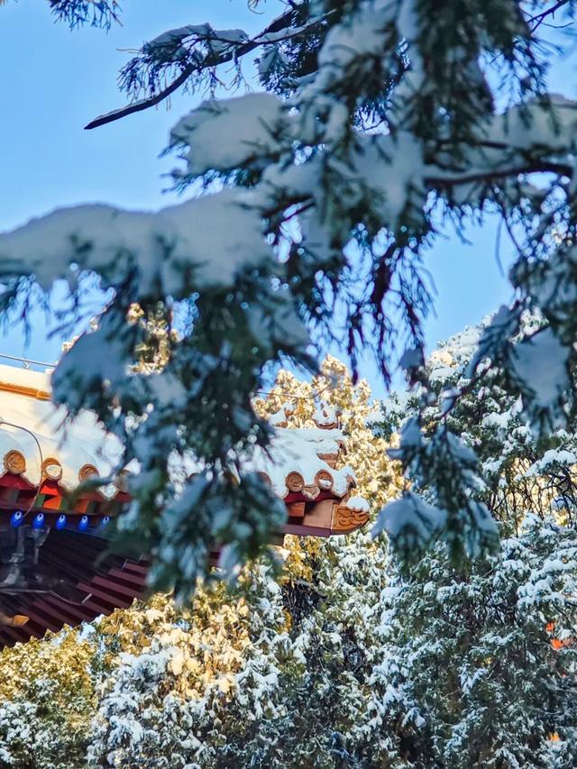 用四时好景打开曲阜三孔景区，留存每一帧中式浪漫！