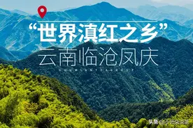 英国女王誉为“珍品”，中国红茶之宝——滇红你喝过几种？图片