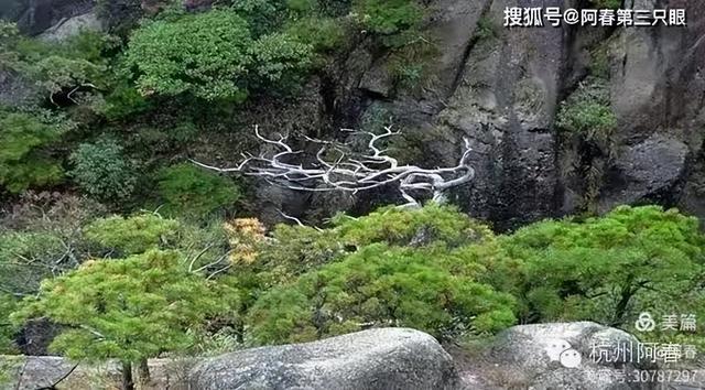 奇峻秀美 三清山