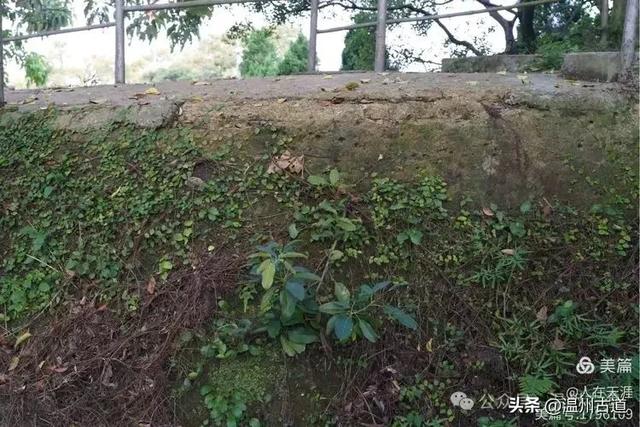 大多数温州人都不知道的摩崖石像和隐蔽炮台,距离很近,你去过吗