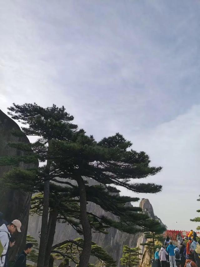 漫步黄山松掩山丛树杪，云隐仙踪徒步蹬道千阶