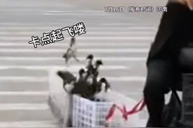 笑麻了，男子骑车带小鸭子过马路一颠掉出俩上热搜，我笑死评论区图片