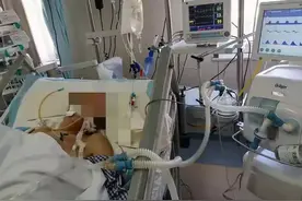 震惊反转！女子造谣医生贩卖器官，竟因拒绝手术致儿子身亡图片