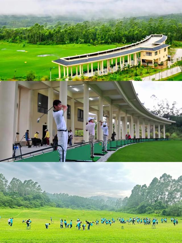 趣春游,赴一场蓝洋踏青的邀约