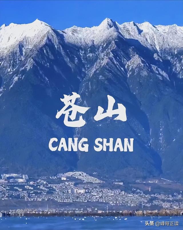 苍山自闭症男孩失联已3天：恶心一幕出现，更多人被无端质疑！