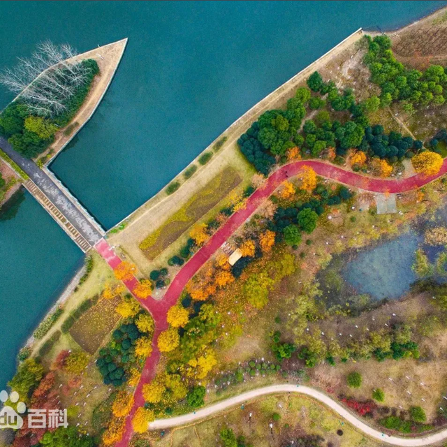 反向旅游胜地——合肥，庐州古城的历史与自然探索之旅