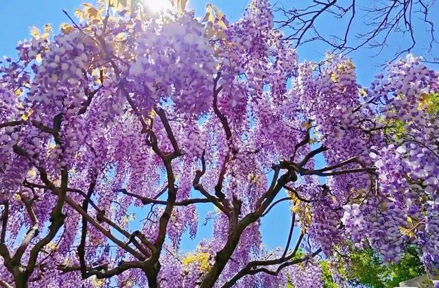 女性免票、男士同享、3.8元特惠→