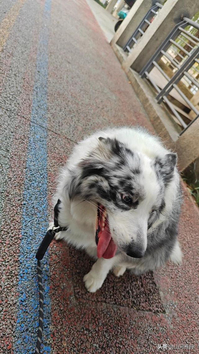 成都亲子轻徒步｜金牛区锦江绿道一日漫游全攻略