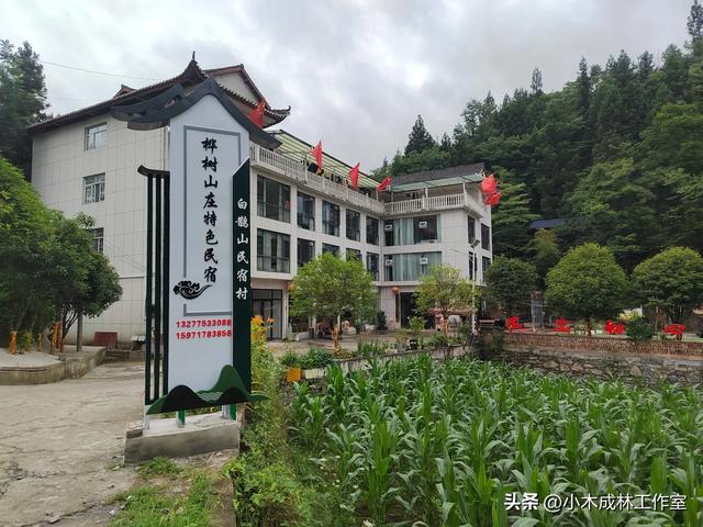 避暑民宿怎么选？以我个人的切身体会告诉你!看了恍然大悟